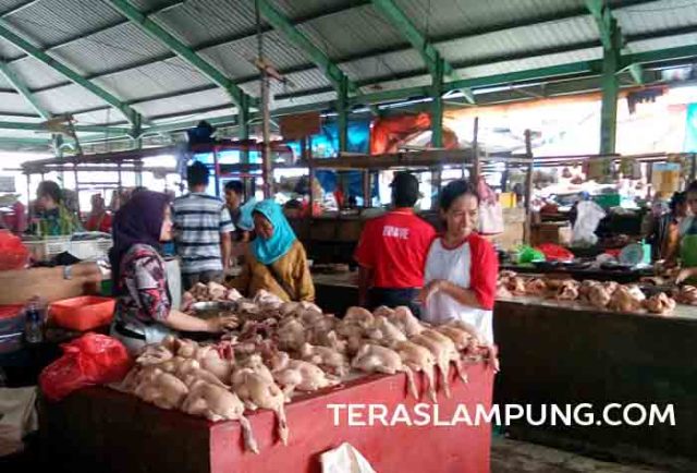 Harga Ayam Potong Naik Jelang Ramadan