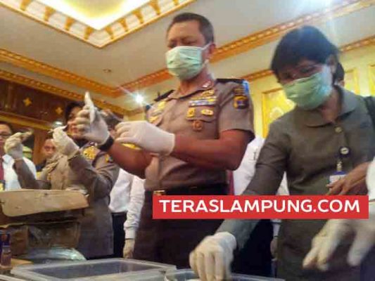 Polda Lampung Gagalkan Penyelundupan Lima Ton Ikan Berformalin dari China