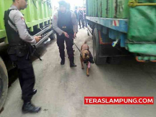 Operasi Antik, Razia Gabungan Polda Lampung di Pelabuhan Panjang Hasilnya Nihil