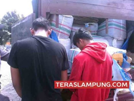 Bawa 2,5 Ton Daging Celeng, Dua Warga Medan Ini Diberi Upah Rp 5 Juta