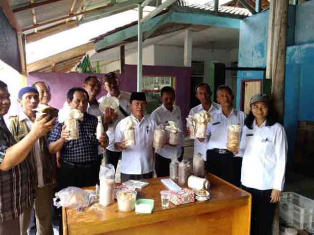 Ciptakan Masyarakat Mandiri, Pemkab Lamteng Bina KWT Jamur Tiram