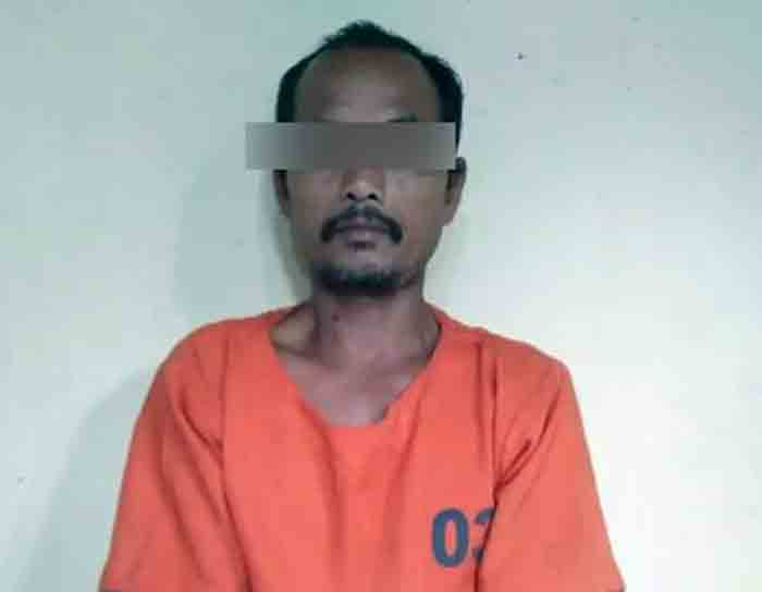 Petani di Tulangbawang Ini Tiga Kali Cabuli Siswi SD