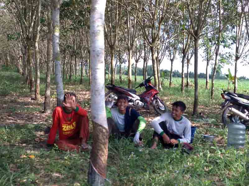 72 Tahun Indonesia Merdeka, Warga Kampung Karya Makmur SP 1 Belum Nikmati Listrik