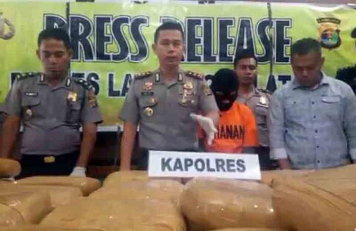 Polres Lamsel Gagalkan Pengiriman 231 Kg Ganja Asal Aceh