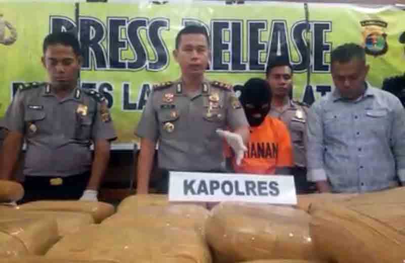 Polres Lamsel Gagalkan Pengiriman 231 Kg Ganja Asal Aceh