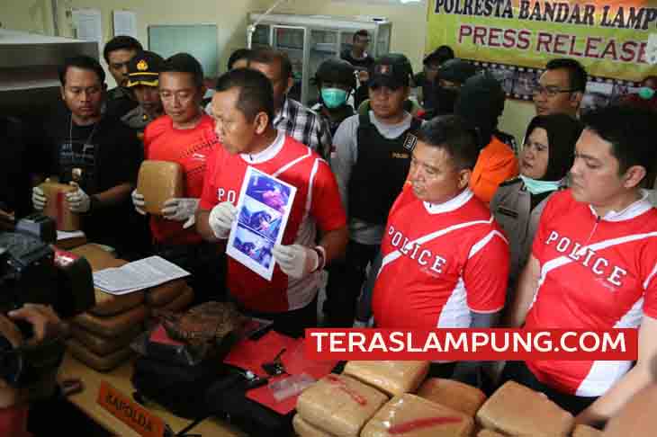 Bandar Narkoba Ditembak Polisi, Ganja 144 Kg Disita