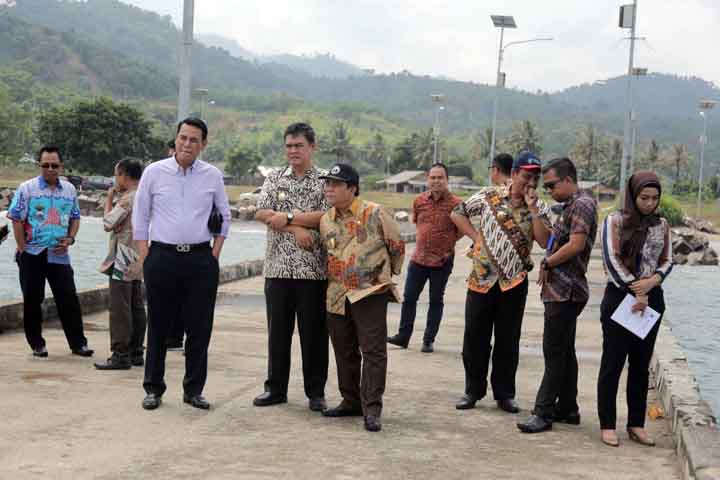 Investor Jepang Jajaki Bangun Dermaga Penunjang KIM di Lampung