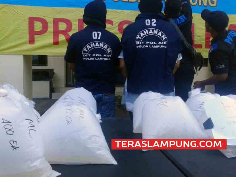 Ditpolair Polda Lampung Amankan Ribuan Benih Lobster Senilai Rp 1,3 Miliar