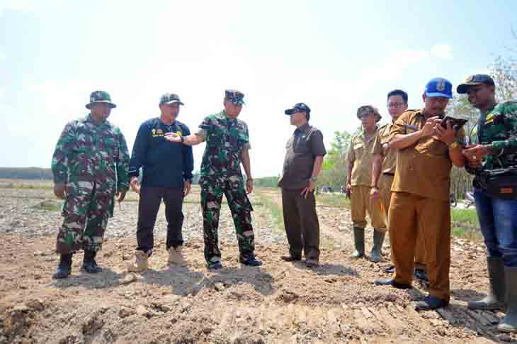 Pemprov Lampung Cetak 350 Hektare Sawah Baru di Way Kanan