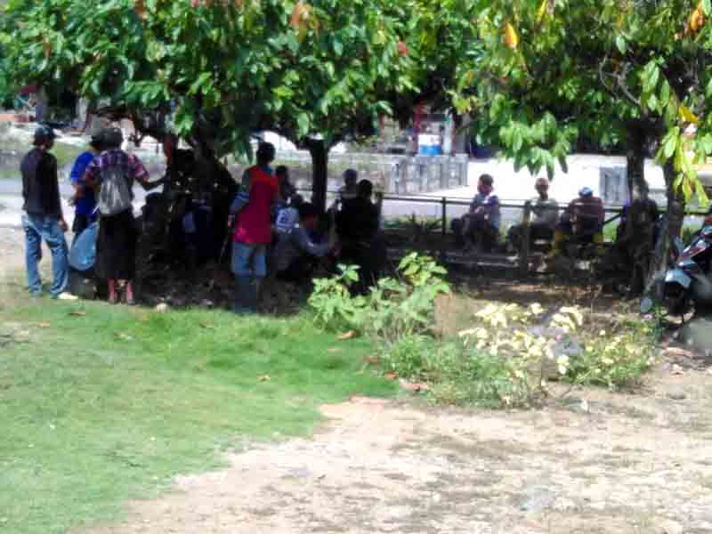 Kawanan Gajah Sering Masuk Kampung, Warga Karang Agung Tanggamus Resah