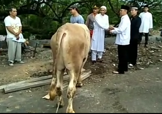 Idul Adha 1438 H, Polda Lampung Potong 11 Sapi dan Tujuh Kambing