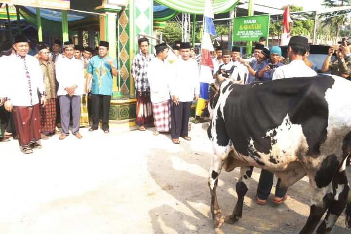 Bupati Mustafa Ajak Masyarakat Lamteng Jadikan Idul Adha Momen Bangun Solidaritas