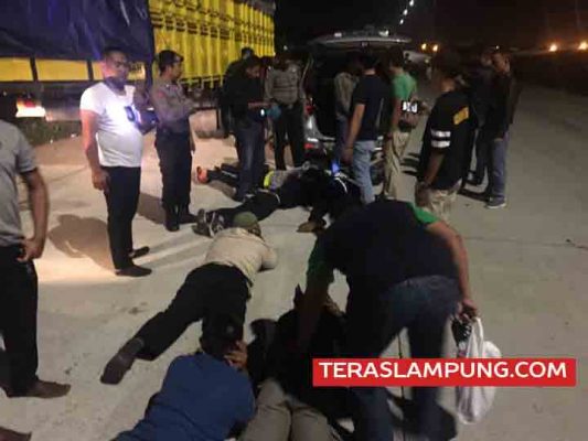 KSKP Bakauheni Gagalkan Penyelundupan 54.426 Bibit Lobster Senilai Rp 8 Miliar yang Akan Diselundupkan ke Jambi