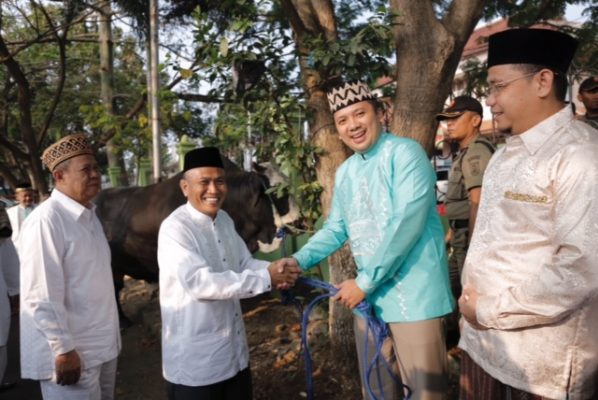 Idul Adha 1438 H, Gubernur Ridho Ficardo Serahkan 104 Sapi
