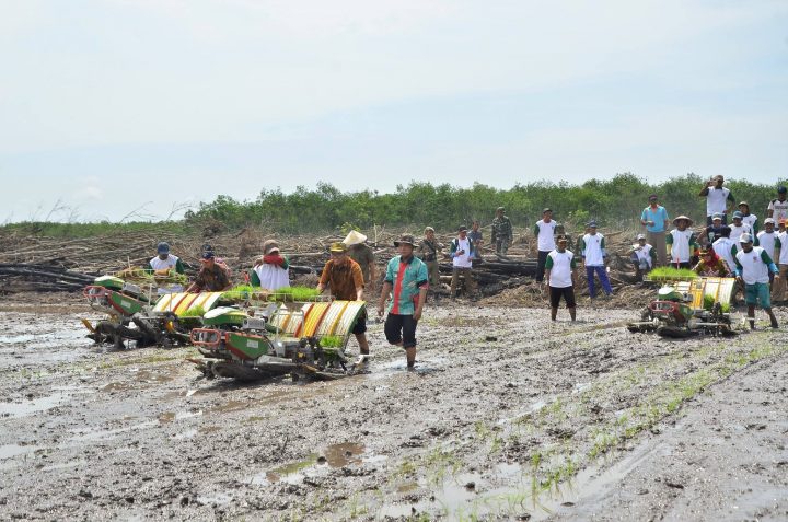 Irjen Kementan dan Bupati Mesuji Tanam Padi Perdana di Lahan Cetak Sawah Baru