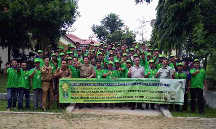 Lampung Tengah Jadi ‘Pilot Project’ Program Percepatan Sapi Bunting
