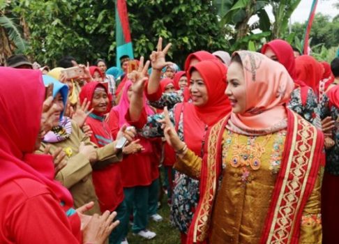 Aprilani Yustin Ficardo Serahkan Hibah BUMDes dan Sarana Kesehatan