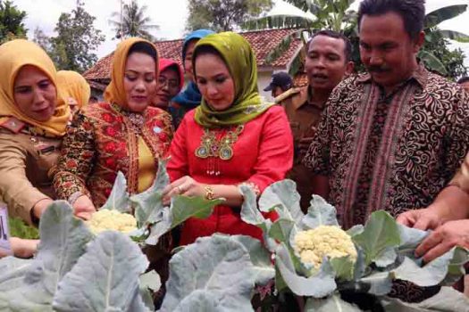Pemprov dan PKK Provinsi Lampung Sinergikan Pembangunan Lampung Timur