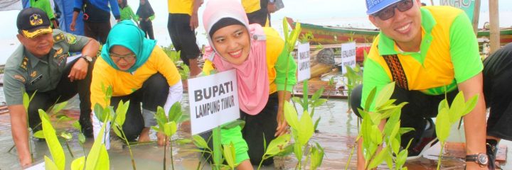 Festival Tanam Mangrove Jadi Berkah bagi Warga Lampung Timur