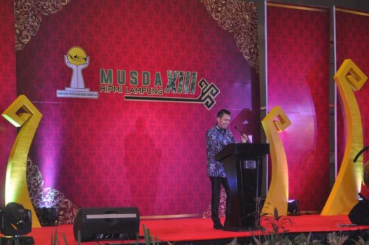 Arie Nanda Djausal , Ketum Hipmi Lampung Periode 2017-2020