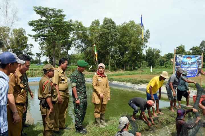 Bupati Nunik Panen Ikan Bersama Warga Donomulyo