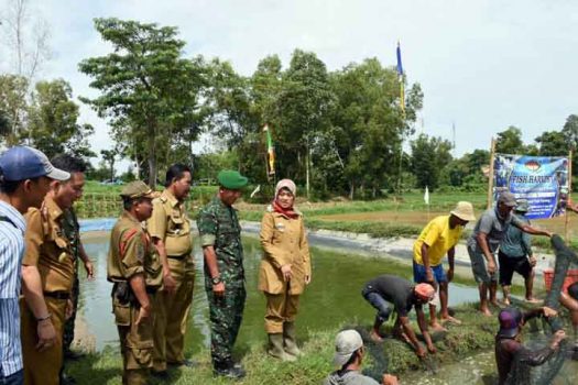 Majukan Pertanian, Pemkab Lamtim Siapkan Bantuan Bibit