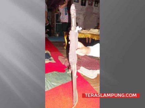 Kegigihan Radin Imba II dan Pasukannya Melawan Tentara Belanda