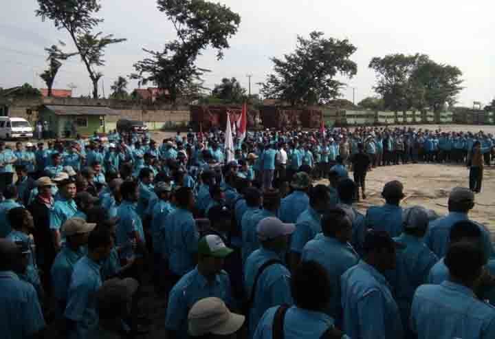 Ribuan Anggota Serikat Pekerja PTPN 7 Inspeksi Lahan Sengketa di Bunga Mayang