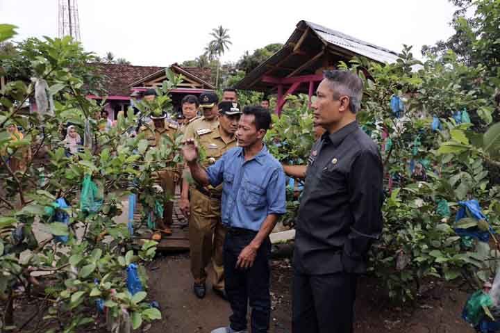 Pjs Gubernur Lampung Kunjungi Desa Agrowisata Sumberrejo Tanggamus