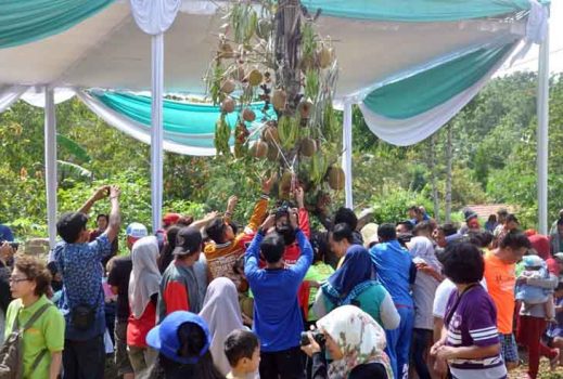 Bagikan 2.750 Durian Gratis, Festival Hasil Hutan Nonkayu 2018 Meriah