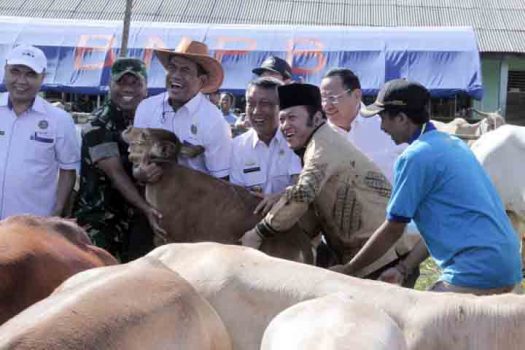 Menteri Pertanian: Lampung Swasembada Protein