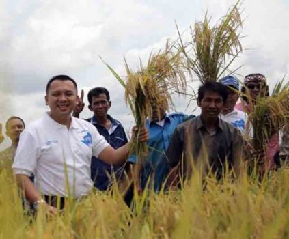 Ridho Ficardo Bangga Program Padi Unggul di Wonodadi Berhasil