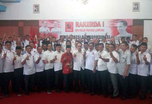 Herman HN: Proyek Tol, Bandara, dan Pelabuhan Program Jokowi