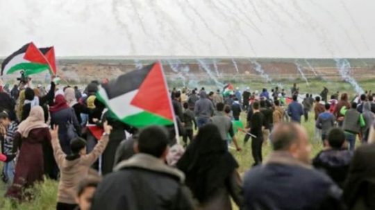 Melawan Narasi Berita Media Arus Utama Tentang Pembantaian di Gaza