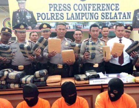Dikirim Lewat Pelabuhan Bakauheni, Sepekan Polres Lamsel Sita 73 Kg Ganja