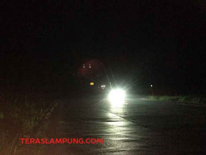 Ini Ruas Jalan Lintas Sumatera di Lamsel yang Perlu Diwaspadai Para Pemudik