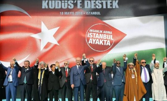 Sidang OKI, Indonesia Desak Internal Palestina Bersatu