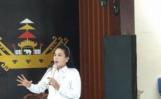 Mall Pelayanan Publik, Bukti Keseriusan Winarti Layani Warga Tulangbawang