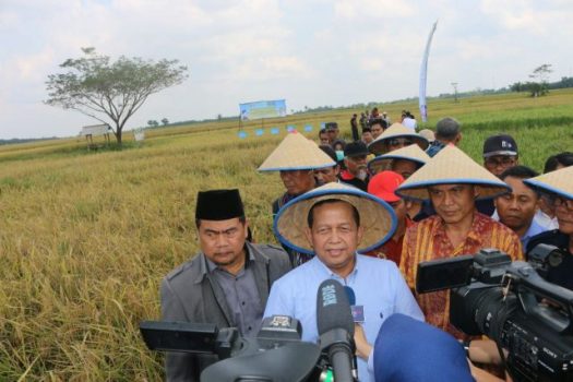 Ketua KEIN Soetrisno Bachir: Lampung Lumbung Padi Indonesia