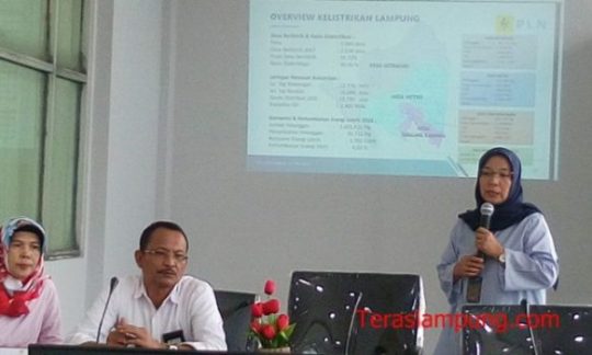 PLN Pastikan Listrik di Lampung Aman Selama Idul 1439 H
