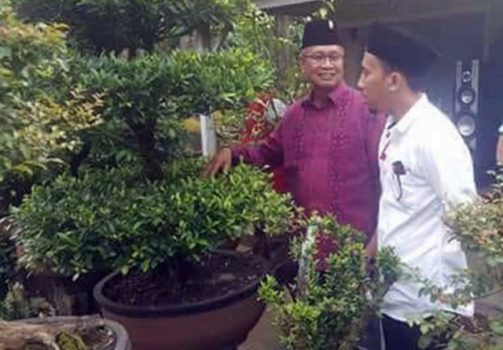 Perajin Bonsai Lampung Timur Berharap Besar pada Herman HN – Sutono