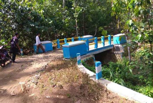 Gerbang Desa Saburai Ridho-Bachtiar Bangun 261 Desa Tertinggal di Lampung