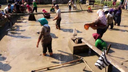 Dukung Ridho, Marhaen Menggugat Gelar Pesta Rakyat Serentak di 200 Lokasi Se-Lampung