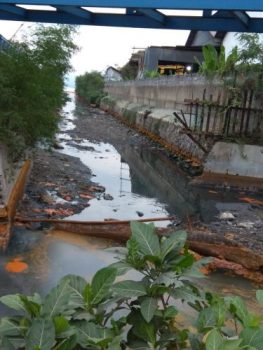 Minyak Tumpah di Pantai Panjang, Walhi Khawatir Banyak Ikan akan Mati