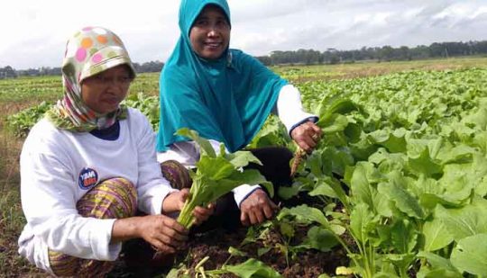 Usai Hari Raya Idul Fitri, YBM BRI Jadikan Masyarakat Tetap Produktif