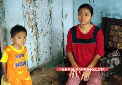 Penggusuran Pasar-Rumah Griya Sukarame, Puluhan Warga Terlunta-lunta