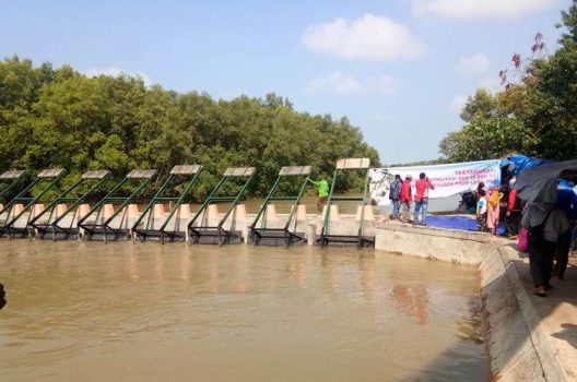 Tambak Swadaya, Empat Dam di Bumi Dipasena Selesai Direvitalisasi