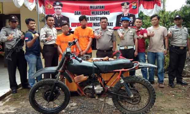 Beraksi di Pekon Simpangsari Lambar, Dua Pembobol Rumah Dibekuk Polisi
