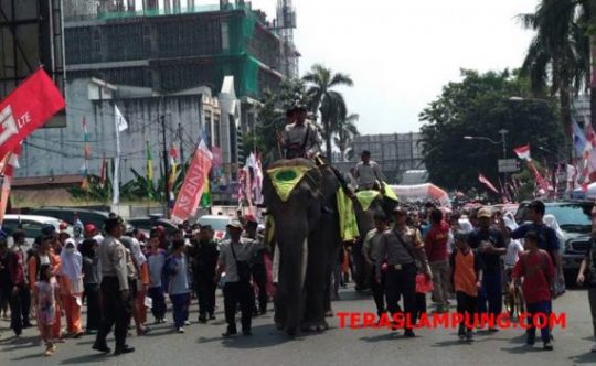 Dua Gajah Way Kambas Meriahkan Penyambutan Obor Asian Games di Lampung
