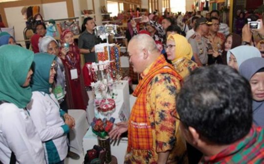 Ini Cara Gubernur Alex Noedin Gelar Sumsel Expo 2018 Tanpa Dana APBD